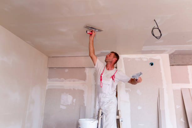 Best Ceiling Drywall Installation  in Pumpkin Center, NC